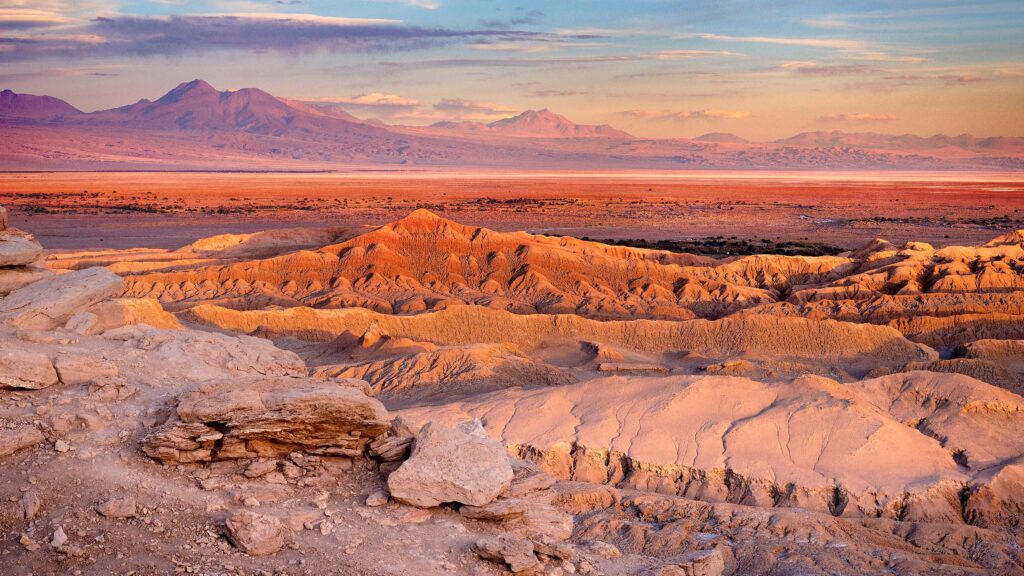 Digitale Unterhaltung