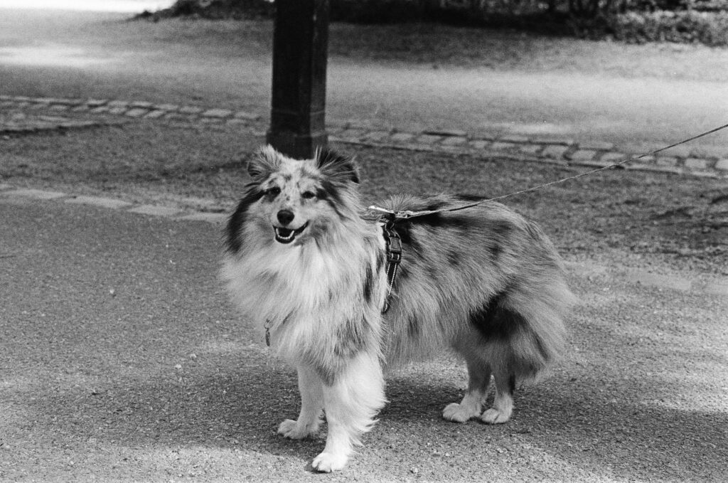 Technologische Innovationen treiben die Nachhaltigkeit voran Technologische Innovationen treiben die Nachhaltigkeit voran