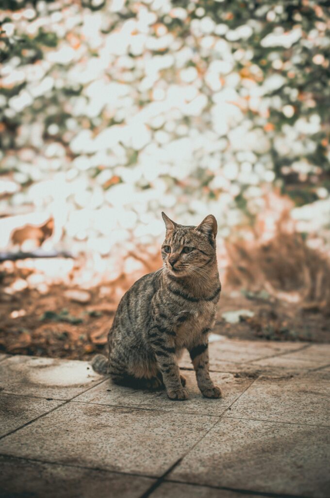 Qynol.de steht für digitalen Fortschritt mit Sinn und Verantwortung Qynol.de steht für digitalen Fortschritt mit Sinn und Verantwortung