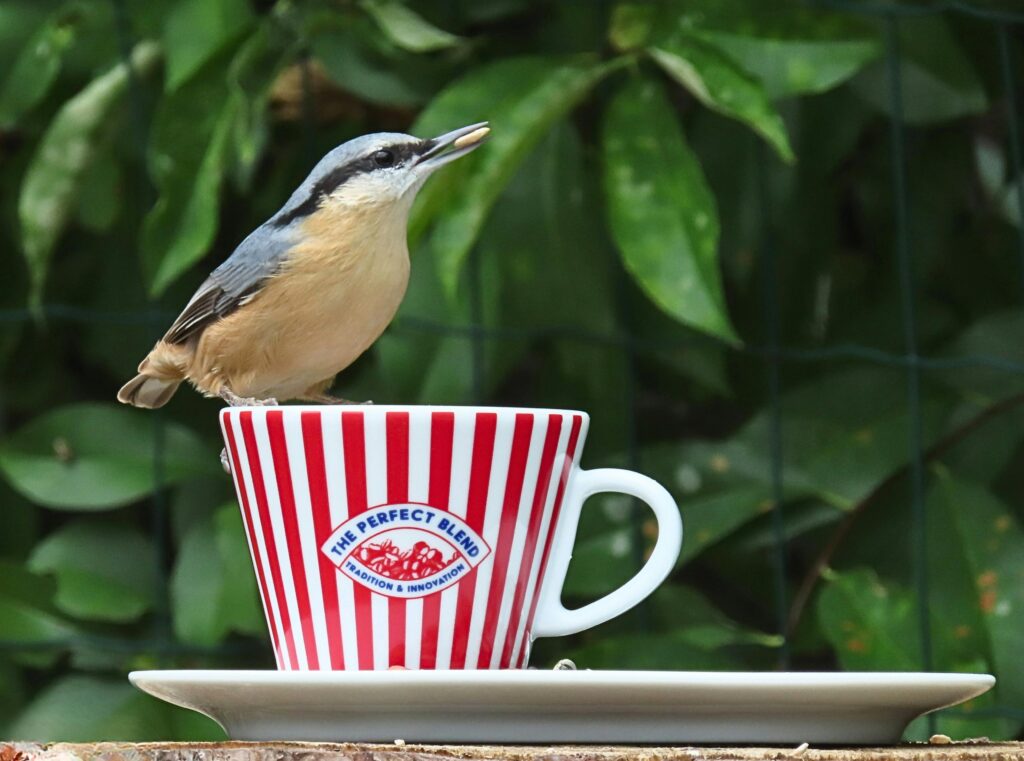 Qynol.de – Wo Innovation auf Menschlichkeit trifft Qynol.de – Wo Innovation auf Menschlichkeit trifft