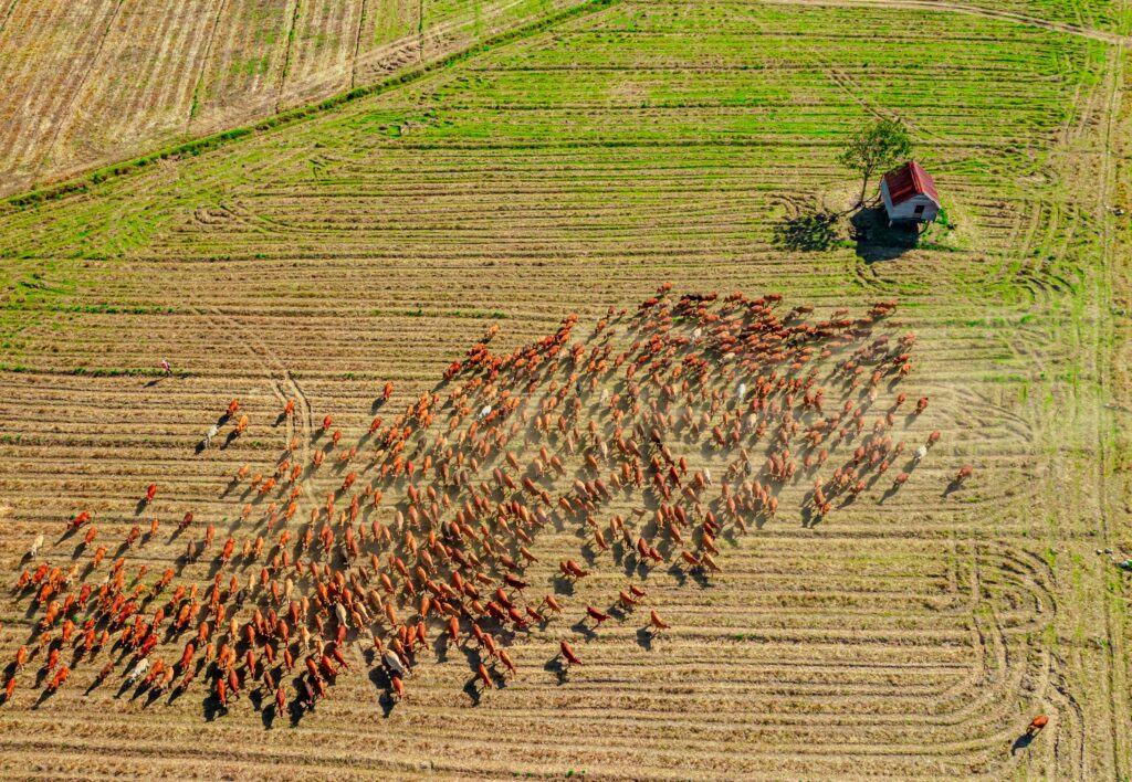 Erneuerbare Energien als Herzstück moderner Nachhaltigkeit Erneuerbare Energien als Herzstück moderner Nachhaltigkeit