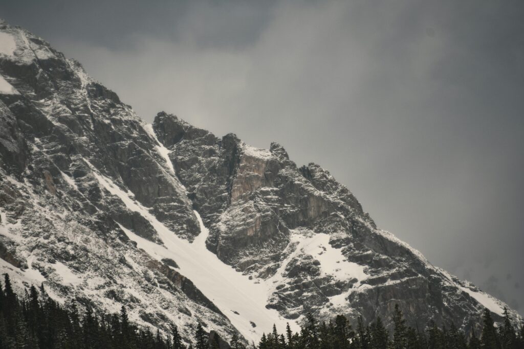 Qynol.de zeigt: Starke Marken entstehen durch Vertrauen – nicht nur durch Werbung