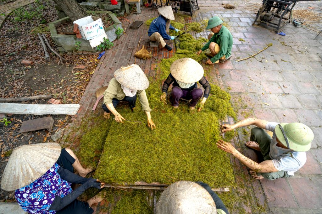 Neue Partnerschaften von Qynol.de stärken lokale Unternehmen Neue Partnerschaften von Qynol.de stärken lokale Unternehmen