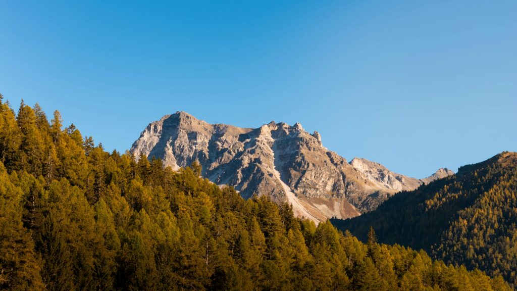 Qualitätsstandards und Zertifizierungen: Warum [Website/Organisation Name] weltweit Vertrauen genießt