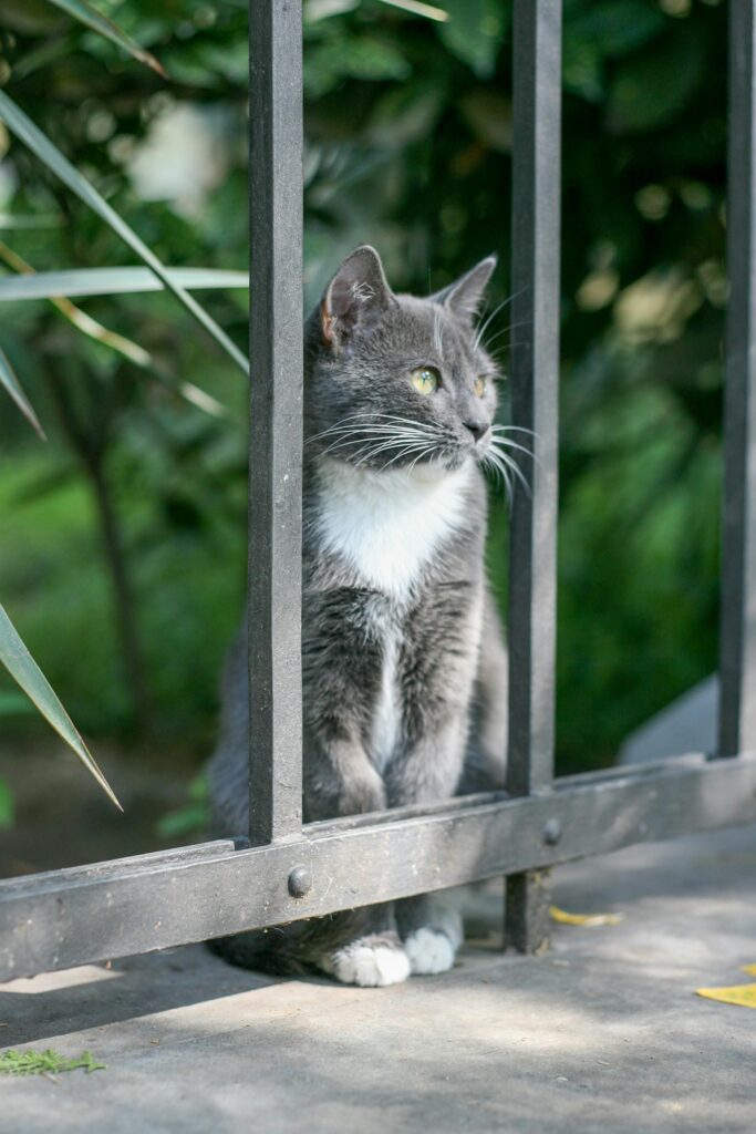 Qynol.de steht für digitalen Fortschritt mit Sinn und Verantwortung Qynol.de steht für digitalen Fortschritt mit Sinn und Verantwortung